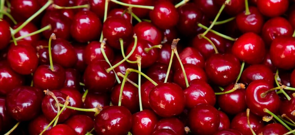 Fresh Cherry Crostata